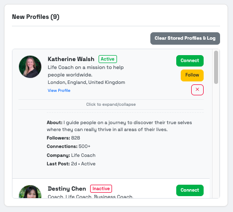 LinkedIn Network Finder Popup View
